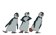 pinguin_08